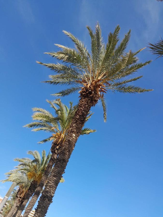 Stylowy Apartament Harmonia Playa Del Cura, Hiszpania Lägenhet Torrevieja Exteriör bild