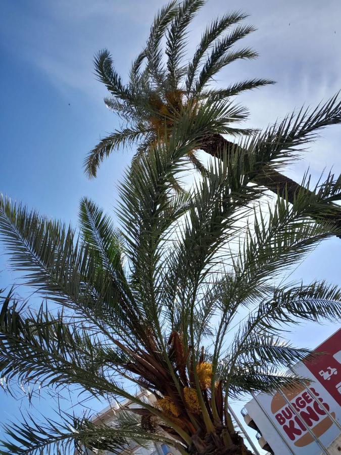 Stylowy Apartament Harmonia Playa Del Cura, Hiszpania Lägenhet Torrevieja Exteriör bild