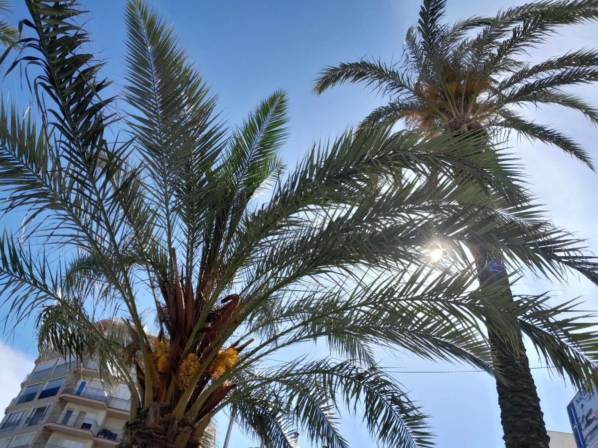 Stylowy Apartament Harmonia Playa Del Cura, Hiszpania Lägenhet Torrevieja Exteriör bild